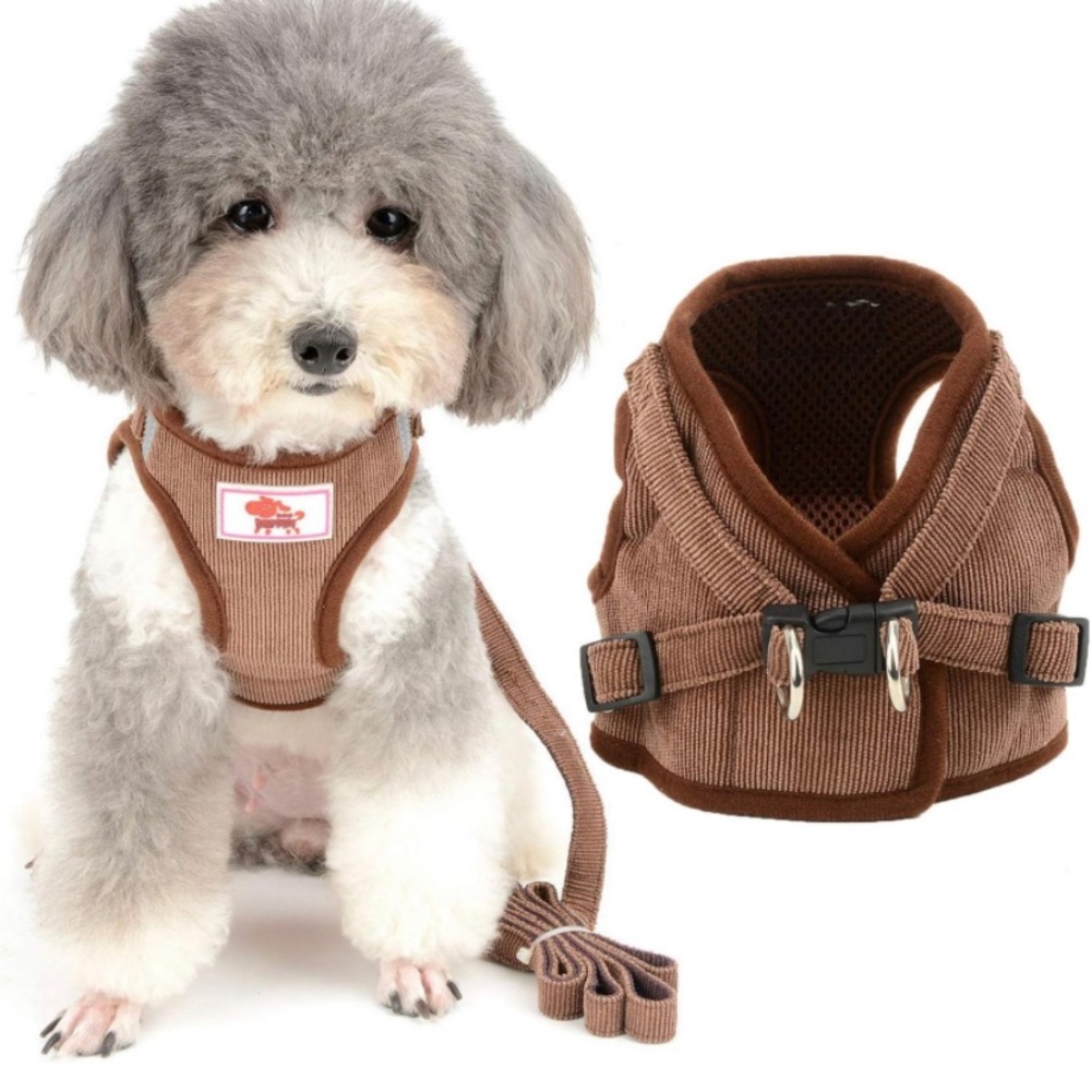 XS Dog Harness with Leash